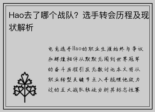 Hao去了哪个战队？选手转会历程及现状解析